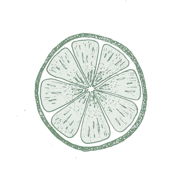 Illustration botanique - Citron