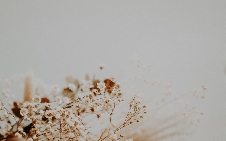 Fleurs séchées 