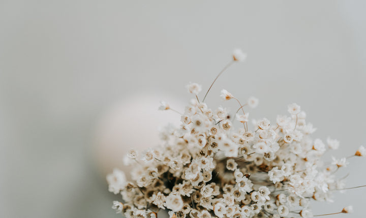 Fleurs blanches
