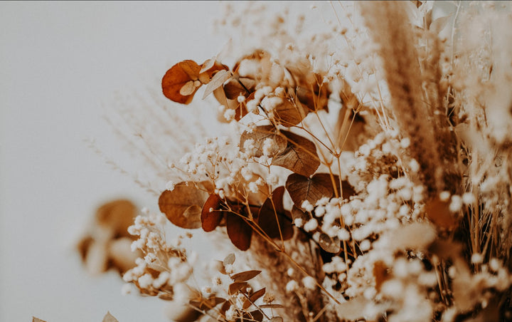 Bouquet de fleurs séchées