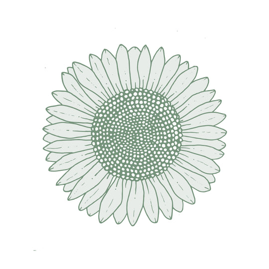 Illustration botanique - Tournesol 