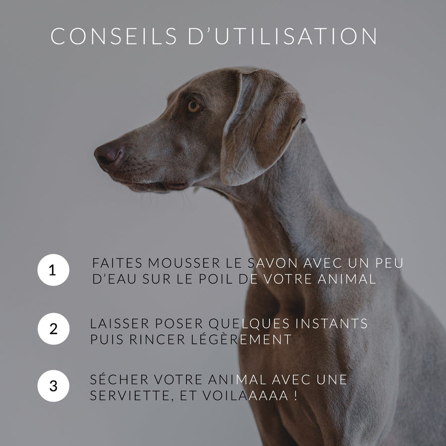 Shampoing solide Animaux • Cade & Coco distilleriedescevennes 