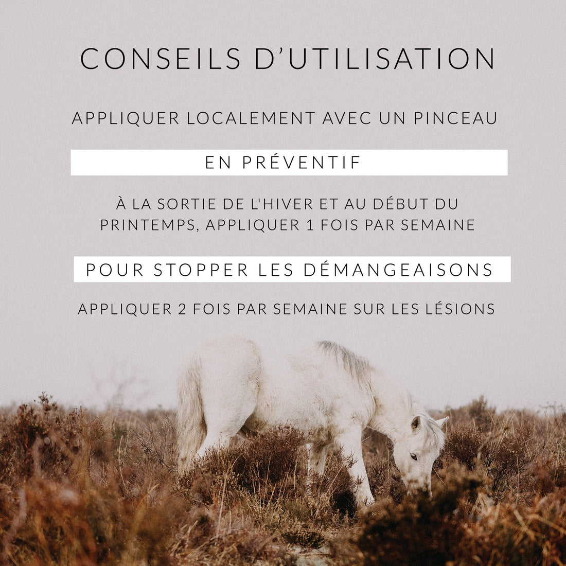 Bacticade – A l'huile de cade – Soin dermite et démangeaisons cheval ESC  LABORATOIRE - Equi Agri