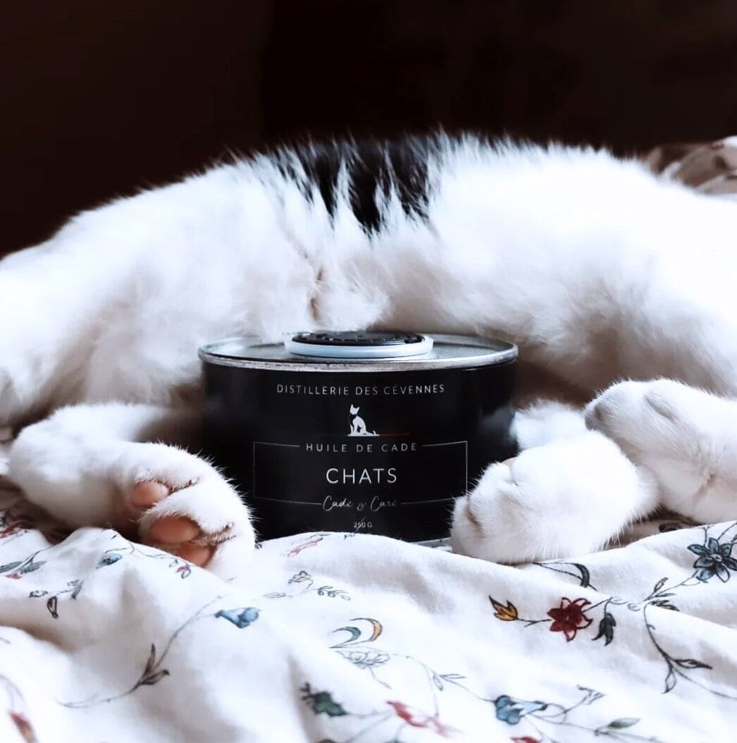 Soin des Chats • Huile de Cade Distillerie des Cévennes 