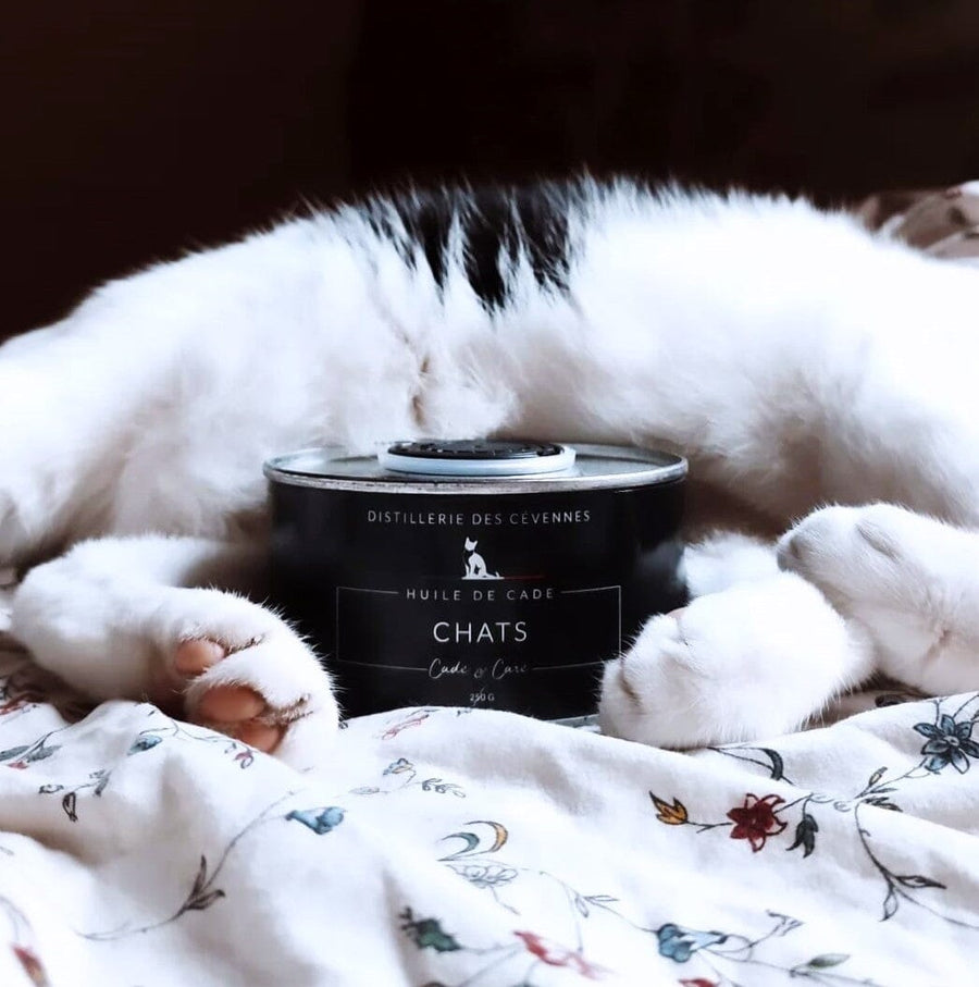 Soin des Chats • Huile de Cade Distillerie des Cévennes 