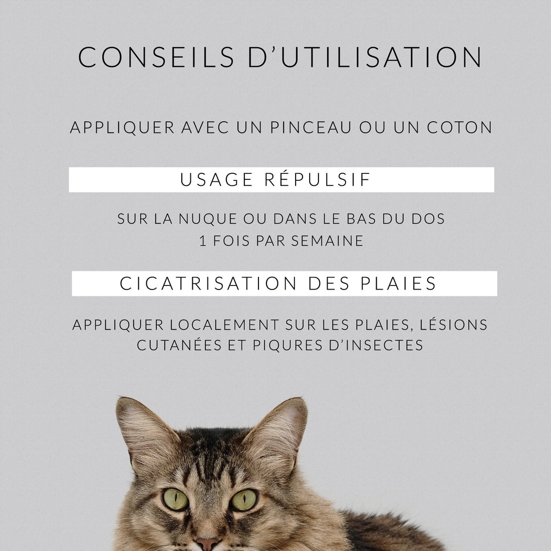 Soin naturel à l'huile de Cade Vraie • Chats