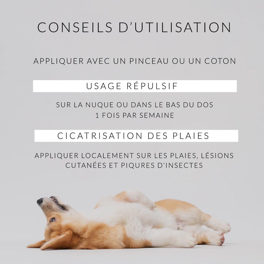 Soin des Chiens • Huile de Cade distilleriedescevennes 