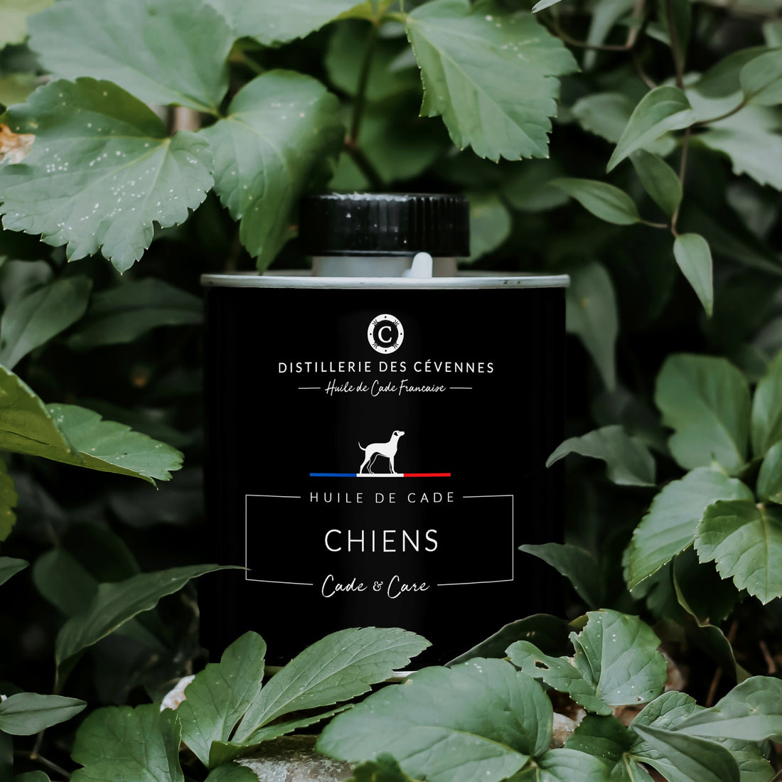 Soin des Chiens • Huile de Cade distilleriedescevennes 500 g 