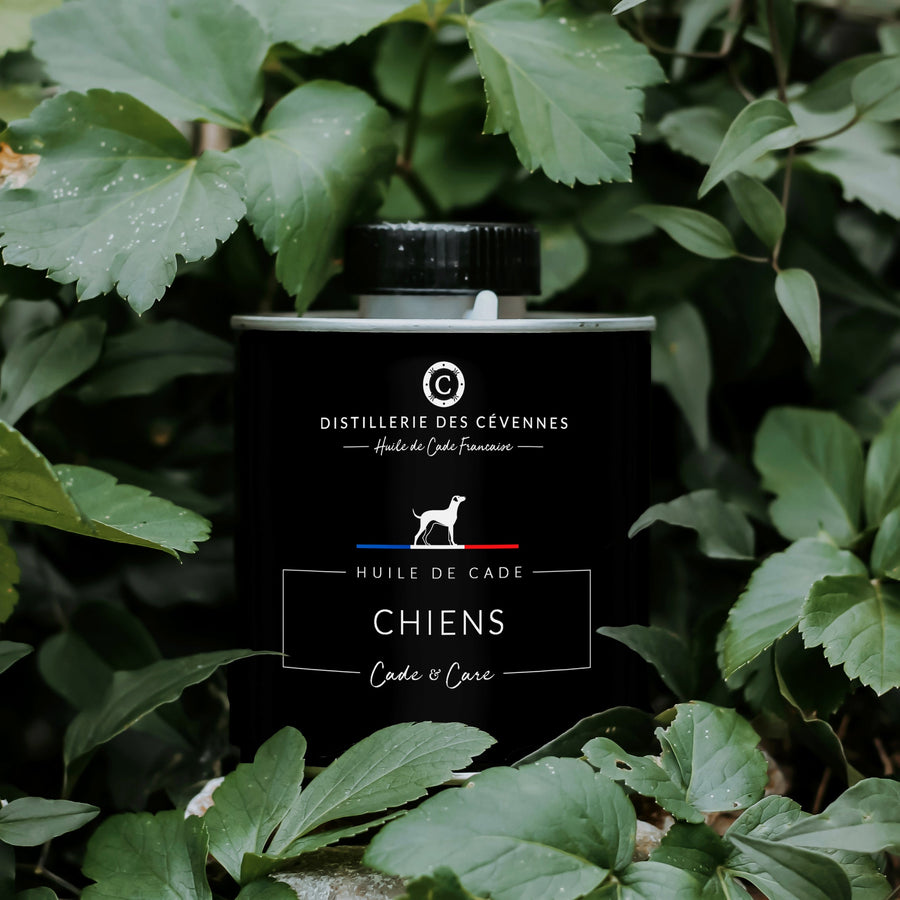 Soin des Chiens • Huile de Cade distilleriedescevennes 500 g 