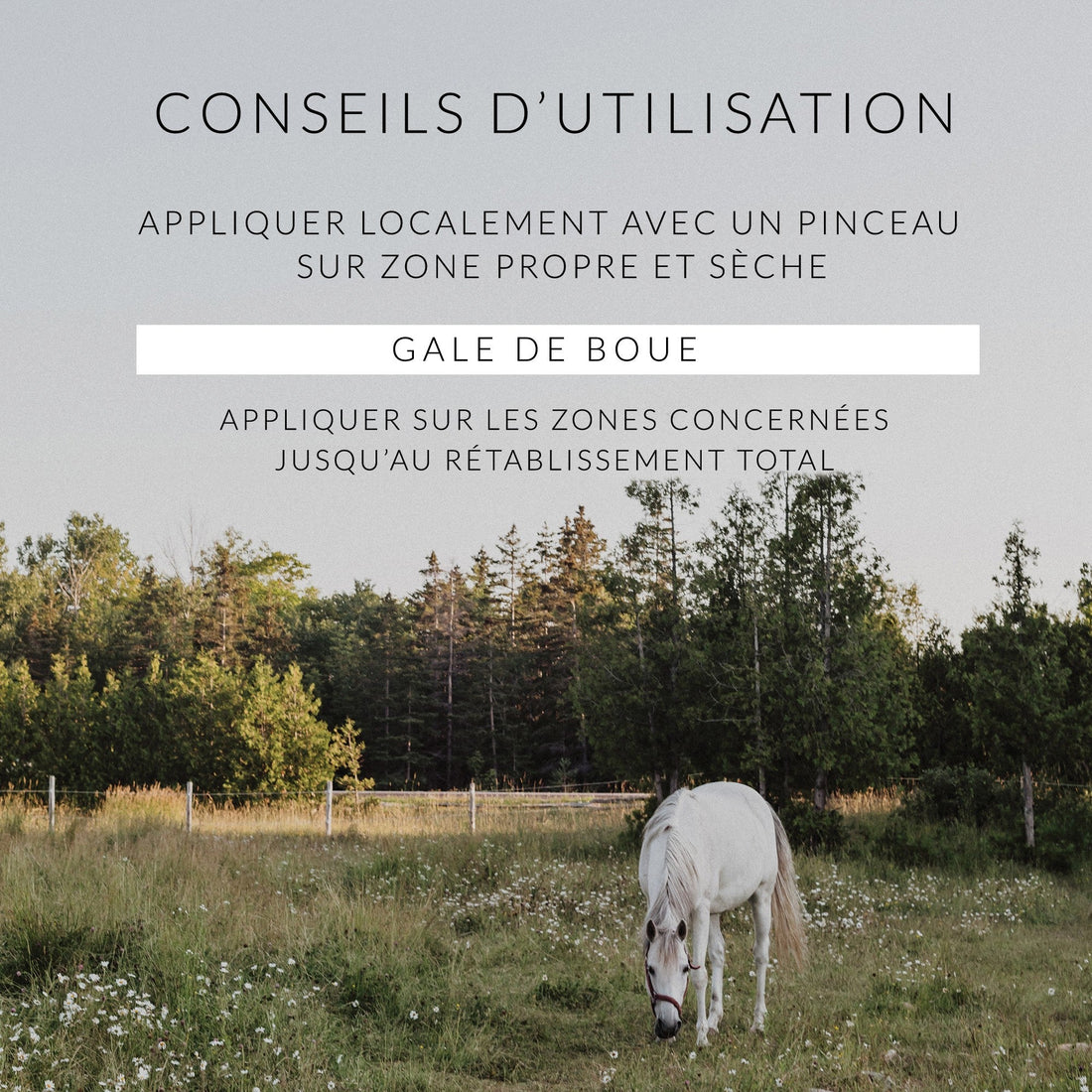 Huile de cade pure 100% cheval Ungula Naturalis - Le Paturon