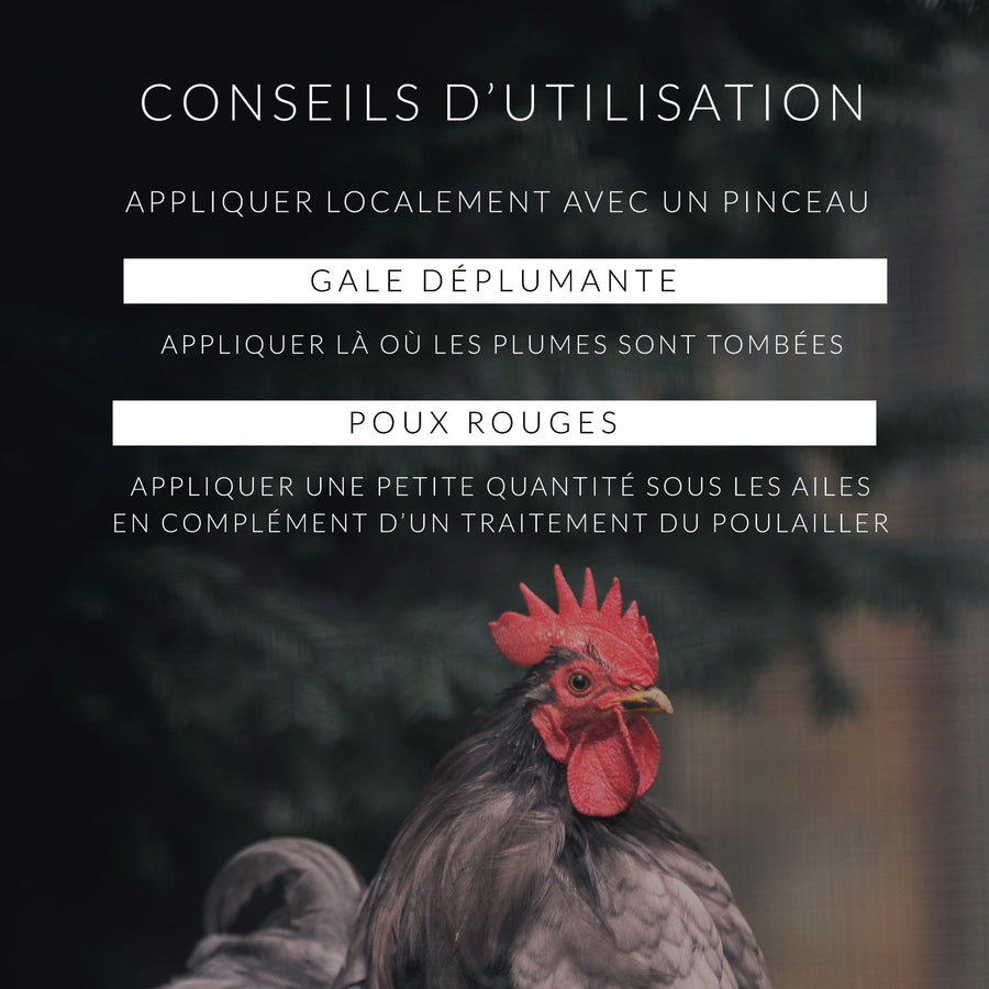 Soin des Poules • Huile de Cade Distillerie des Cévennes 